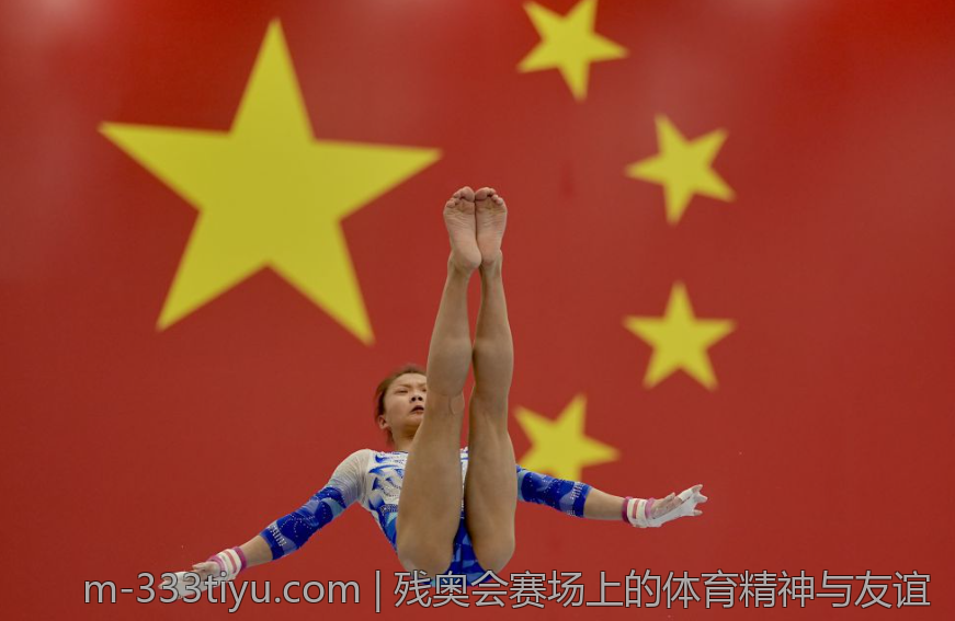 残奥会赛场上的体育精神与友谊