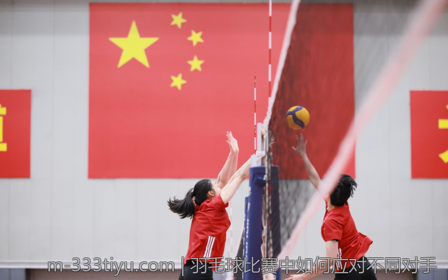 羽毛球比赛中如何应对不同对手