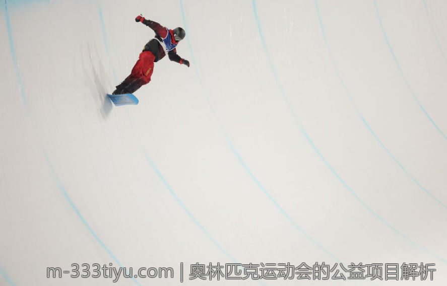 奥林匹克运动会的公益项目解析