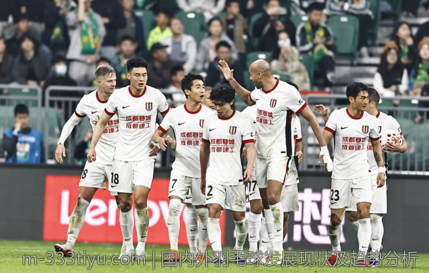国内外羽毛球发展现状及趋势分析