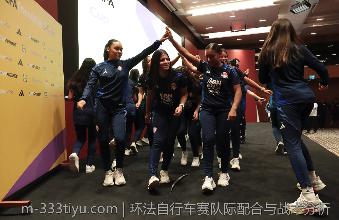 环法自行车赛队际配合与战术分析