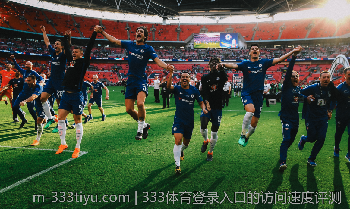 333体育登录入口的访问速度评测